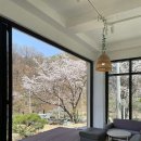 오름카페 이미지