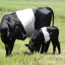 향기 태양광발전소 이미지