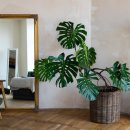 작은공간 이미지