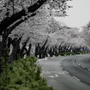 보문로 이미지