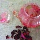 벌교원동 이미지