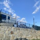 포레스트258 펜션 | 경주 애견풀빌라 포레스트258 B201호 내돈내산 후기