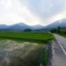 화순 군내버스터미널 이미지