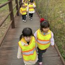 [11월14일] 늘솔길 공원으로 숲 체험가요🌳🐑 이미지