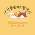 YS 동물병원 이미지