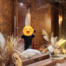 <열두줄에 놀다> 이미지