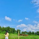 기정목장 이미지