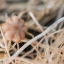 CW-1024-01 이미지