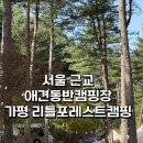 숲속 아지트 | [캠핑장리뷰,캠핑장추천] 나만 알고 싶은 숲속 아지트:리틀포레스트가평 솔직후기
