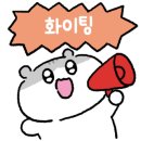 경희대 튼튼태권도 이미지