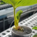 마을농장 이미지