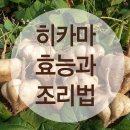 히카마효능과 먹는법 이미지