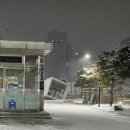 [체코 독일 오스트리아 헝가리/자유여행] 10박12일(1)