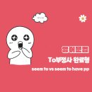 seem to VS seem to have pp (7) 이미지