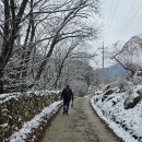 원주굽이길 원11코스 다둔인벌길 티스토리