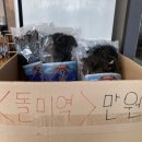 대게마을 거제일품물회 본점 이미지