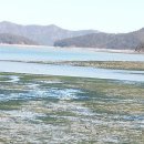 감태해장국 이미지