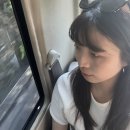 대성관광여행사 - 파주시 경의로 1016 | 대성관광여행사