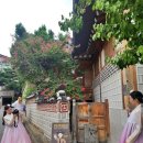 울산베스트피부과의원
