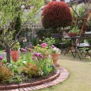 춤의정원 이미지