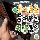 돈이술술