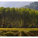 가산2리 이미지