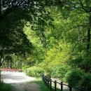 까치산근린공원 이미지