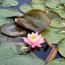 화명도서관 이미지