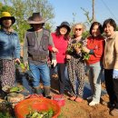 성도농장 이미지