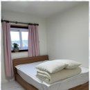 슬기로운 우도생활 이미지