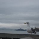 슈베르트의 밤 이미지