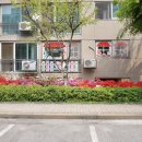 은빛아파트2단지 이미지