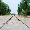 서울월계초등학교 이미지