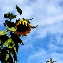 계화중학교 이미지