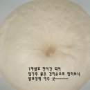 하이토스트 이미지