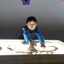 애니 팜 이미지