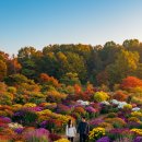 칠갑산 목장 | 충남 9월 가을축제, 가족과 함께 가을 축제 BEST 5