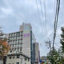 (주)제스 | 성동구 워킹맘 친화 영어유치원 설명회 후기(라이즈 성동, 제스아일랜드 서울숲)