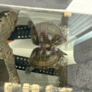 나음동물의료센터 | 화곡역 나음동물의료센터 후기