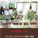 아모르하우스 이미지