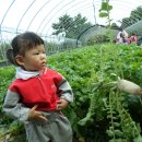 친구야 뽑기하자 이미지