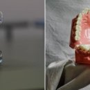 포레스트치과의원 이미지