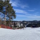 강애산애 이미지