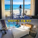 청사포 | 파라다이스 호텔 부산 신관 오션뷰 할인 특가 예약 조식 씨메르 수영장 후기