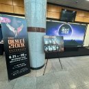 제18회 DIMF 공식초청작 애프터 라이프 | 2025 DIMF 대구국제뮤지컬페스티벌 <애프터라이프> 관람 후기