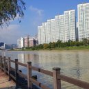 수영강변로2 이미지