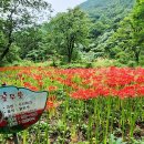 솔바람길 이미지