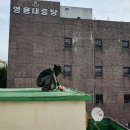연수상가 이미지