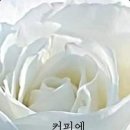 회복 태양광발전소 이미지