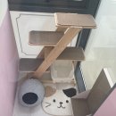 카밍캣 고양이미용 이미지